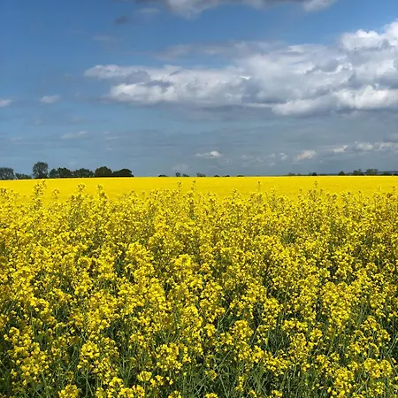 4-sterne In Strandnaehe Mit Sonnenbalkon